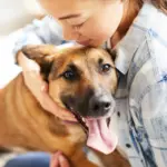 bloomfield feed dog food 2